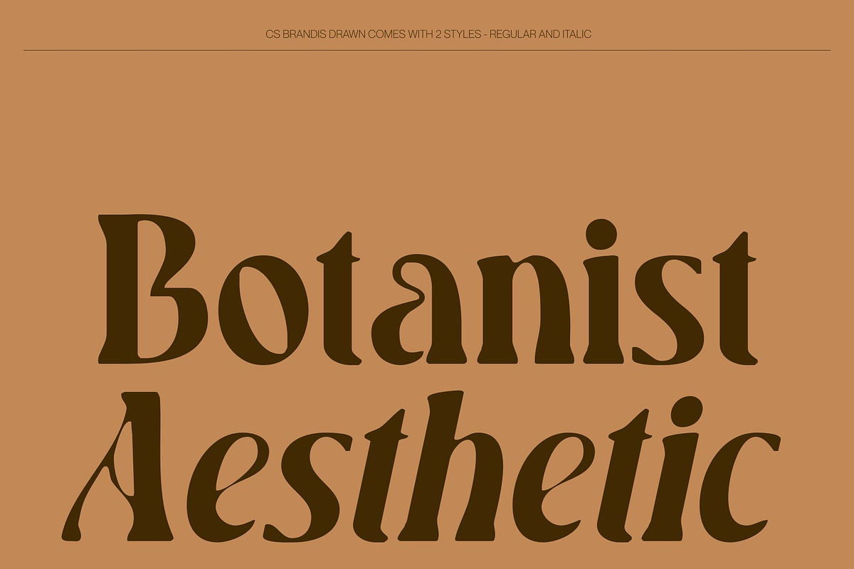 CS Brandis Drawn, a Serif Font by Craft Supply Co. (Photo 3 of 8)