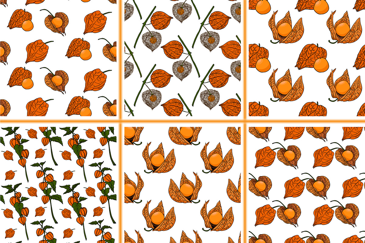 Hand drawn vector physalis.Tomatillo, a Decorative Illustration by Elena Mykhailenko (Photo 7 of 9)