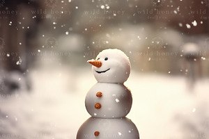 Snowman Digital Backdrop