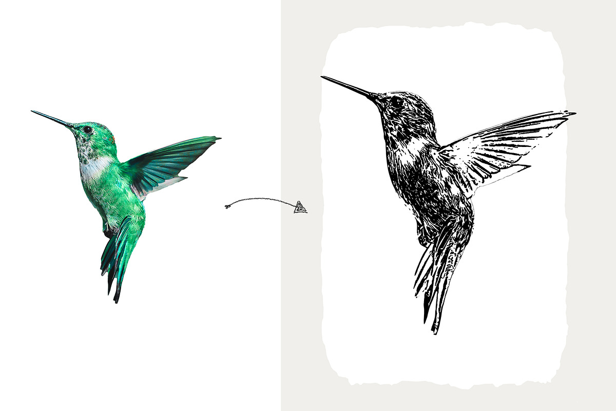 Pet Vector Trace Photoshop Effect, an Action Add-On by Shovajit (Photo 9 of 9)