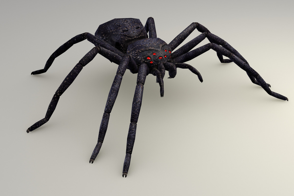 DARKNESS SPIDER fbx only, an Animal 3D Model by PROTOFACTOR