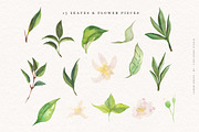 Lemon Grove Watercolor Illustrations, an Illustration by Fire Spark Studio (Thumbnail 3 of 8)