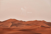 Modern abstract collection, a Decorative Illustration by Scarlet Heath Art (Thumbnail 22 of 22)