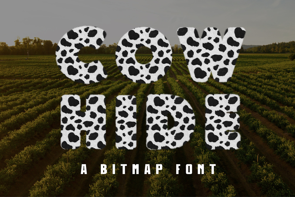 Cow Hide Bitmap Font, a Sans Serif Font by Loudoun Design Co.