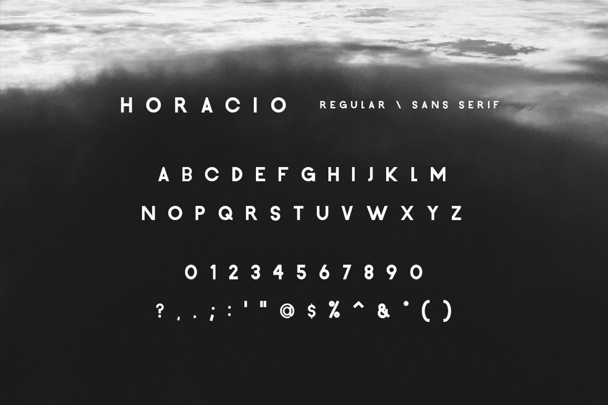 Horacio | A Prestigious Font Family preview 7