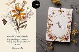 Autumn Watercolor Wildflower Clipart