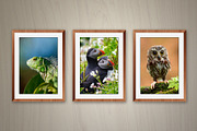 Wall Photo Mockups, a Print Template by Graphic_Art (Thumbnail 5 of 7)