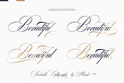 Desirable Calligraphy, a Script Font by Alcode (Thumbnail 3 of 16)