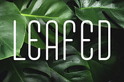 Aquatone | Luxury Sans, a Sans Serif Font by Muntab_Art (Thumbnail 7 of 8)