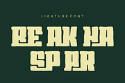 Sport Sobenor Brush, a Handwritten Font by QR Design Studio (Thumbnail 7 of 8)