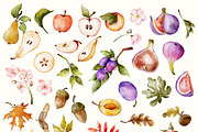 Autumn Harvest Watercolor Collection, a Seasonal Illustration by Pattern + watercolor (Thumbnail 5 of 12)