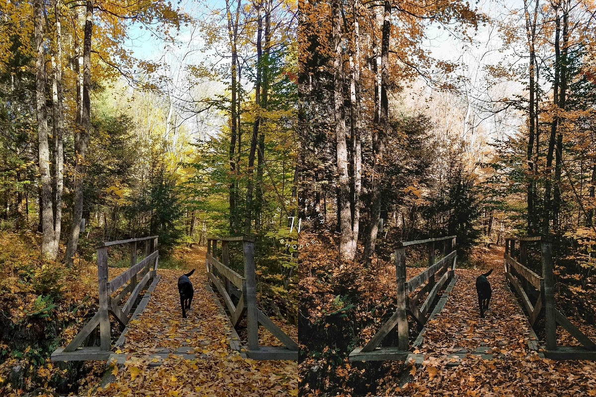 15 Rustic Fall Lightroom Presets, a Preset Add-On by TheWayfarerShoppe (Photo 8 of 9)