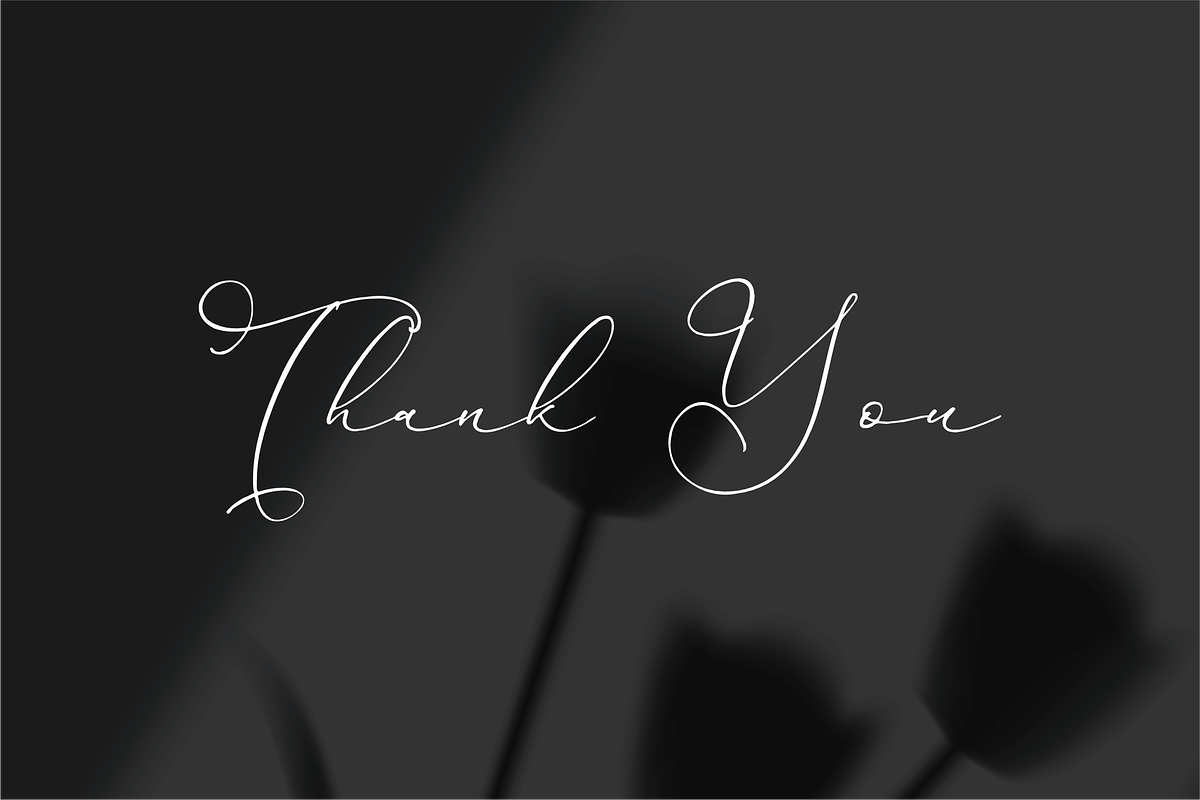 Hardyela Sandert Ballpoint Signature, a Script Font by Storytype Studio (Photo 15 of 15)