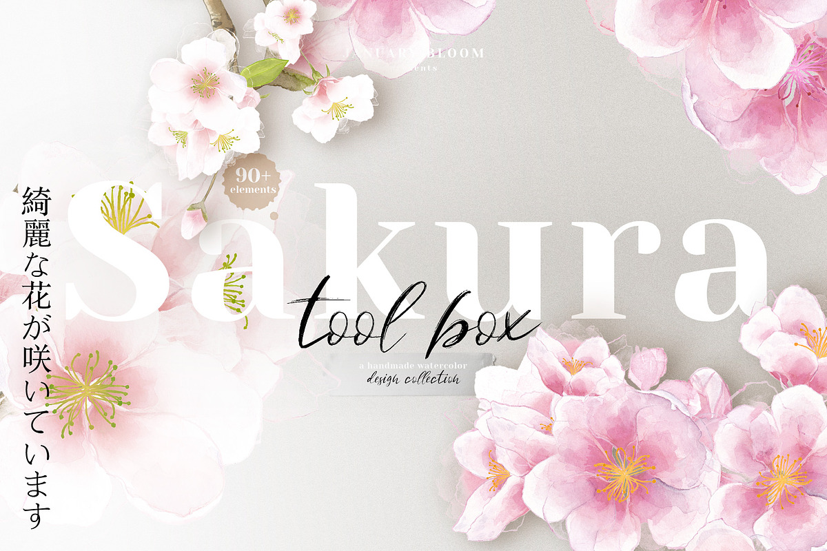 Sakura | Cherry Blossom Florals, an Illustration by January Bloom (Photo 2 of 11)