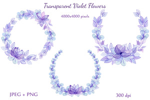 Transparent Violet Flowers