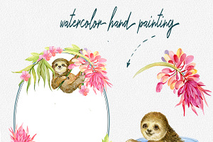 Sloth. Watercolor Clipart.