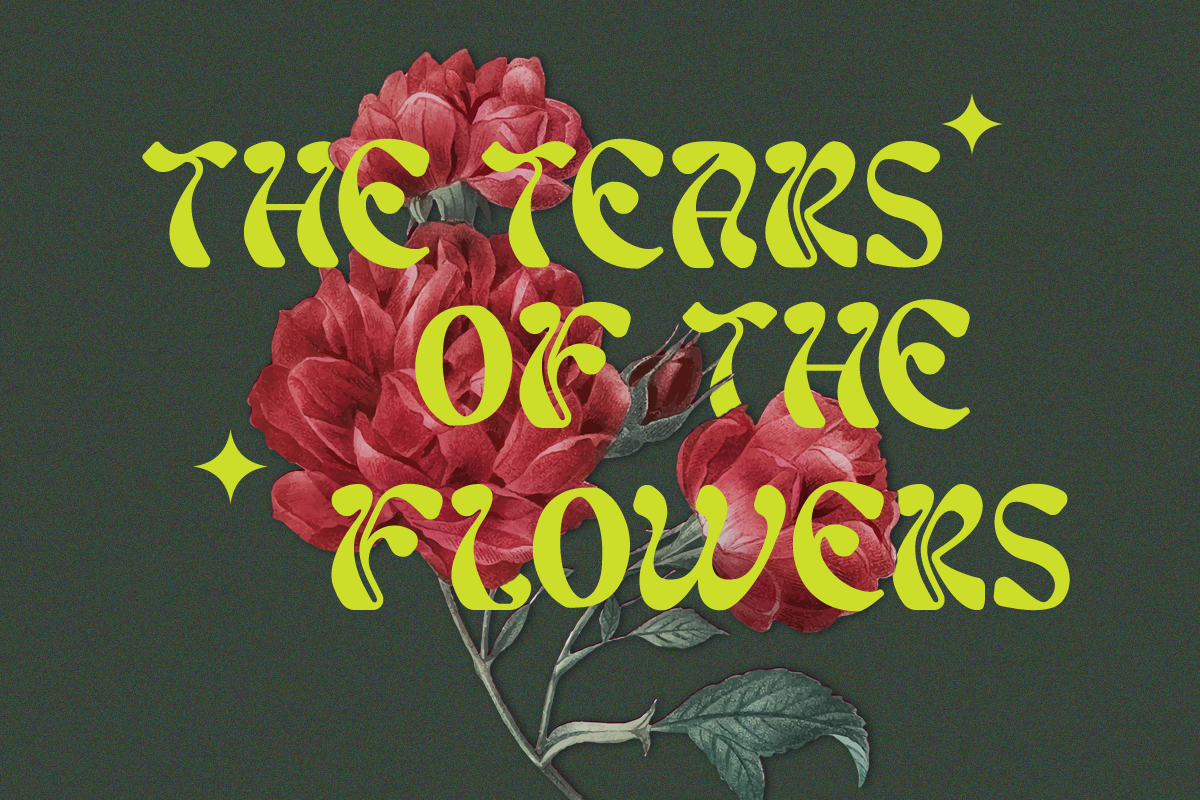 Realizm - Modern Sans Font, a Sans Serif Font by Say Studio (Photo 4 of 13)