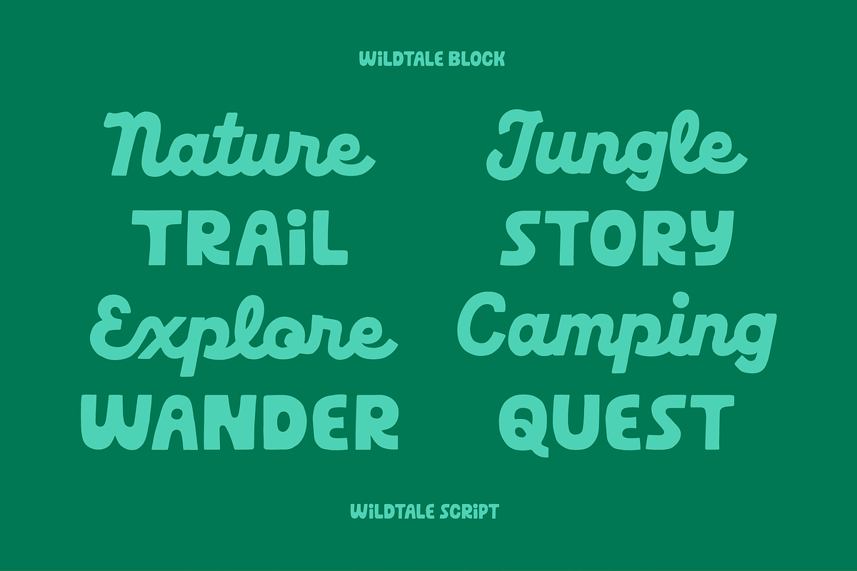 Wild Tale - Display Fonts, a Font by Stable (Photo 3 of 7)
