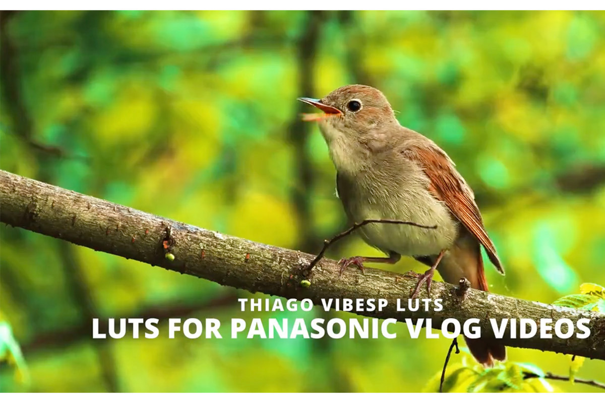 Cinematic Panasonic V-Log LUTs, a Preset Add-On by Creative House (Photo 3 of 4)