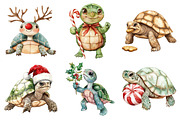 Christmas Funny Turtle Clipart, an Illustration by Daily.Designs (Thumbnail 4 of 5)