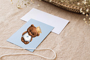 Baby boy bear. Clipart, an Animal Illustration by sheincar (Thumbnail 3 of 4)