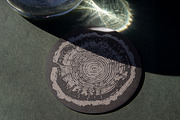 Tree Rings Wood Sketches, a Decorative Illustration by TheMountBirdStudio (Thumbnail 5 of 5)
