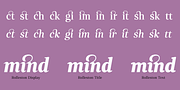 Rolleston, a Serif Font by Pepper Type (Thumbnail 8 of 12)