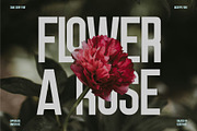 Relonity || Display Sans Serif Font, a Sans Serif Font by Idea Studio (Thumbnail 4 of 5)