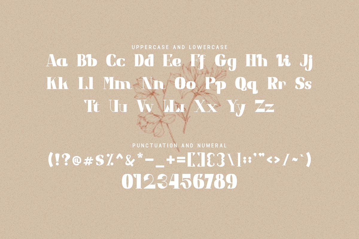 Ravestro - A Modern Serif Typeface, a Serif Font by overlaytemplates (Photo 4 of 5)