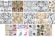 Hand drawn vector plants, a Food Illustration by SHom (Thumbnail 17 of 17)