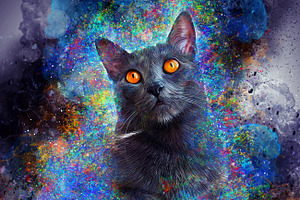 Colored Pet Portrait PS Action