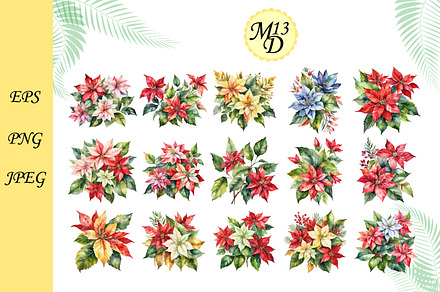 Set of Watercolor red poinsettia