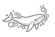 Whale Line Art Vector Bundle, an Illustration by yasushie (Thumbnail 8 of 51)