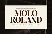 Hope Norton Elegant Serif Font, a Serif Font by Perfectype (Thumbnail 2 of 8)