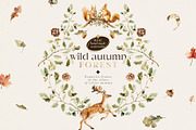 Wild autumn forest - watercolor fall, an Animal Illustration by Pamyatka Shop (Thumbnail 4 of 16)