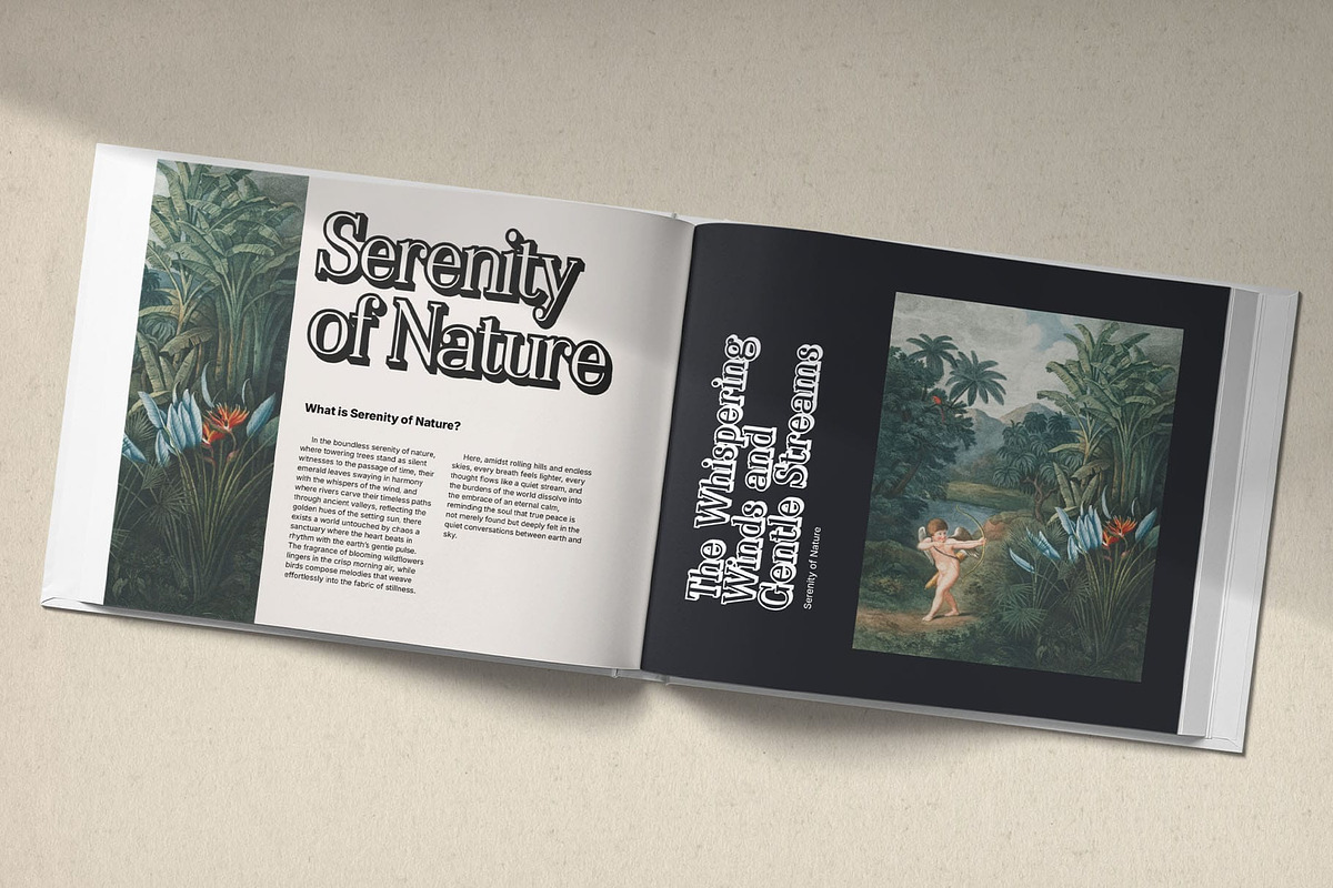 Delcy 3D, a Serif Font by Craft Supply Co. (Photo 7 of 8)