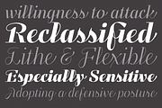 Felis Script, a Script Font by Typomancer (Thumbnail 4 of 5)