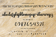Simple Present, a Handwritten Font by InermediaSTUDIO (Thumbnail 7 of 7)