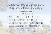Mount | Script Font, a Handwritten Font by Scratchones (Thumbnail 7 of 9)