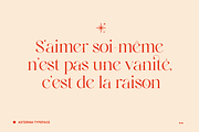 Elegant Ligature Serif Font, a Serif Font by Bekeen.co (Thumbnail 2 of 10)