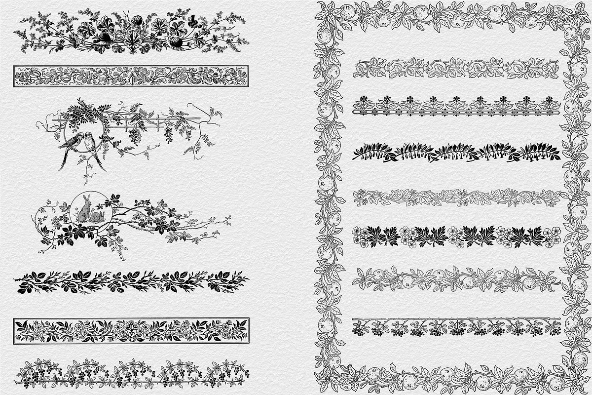Procreate Vintage Nature Borders, a Brush Add-On by AW Studios (Photo 7 of 9)