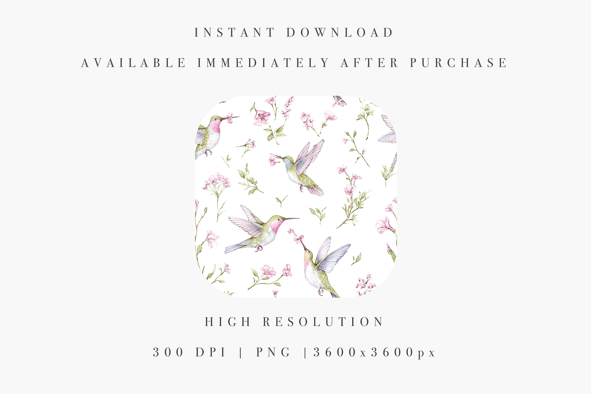Hummingbirds Pattern, an Illustration by Pati Charm Studio (Photo 4 of 7)