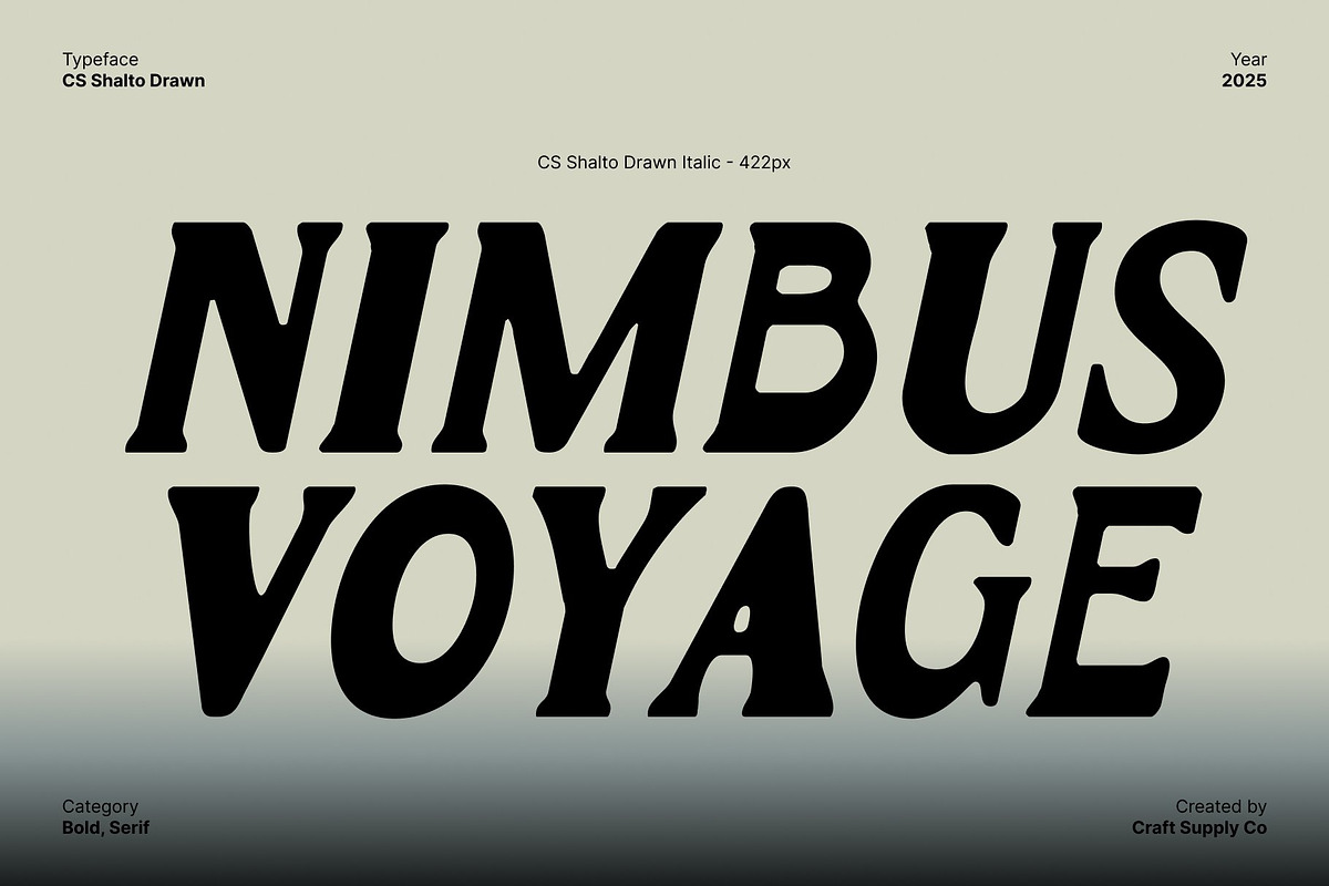 CS Shalto Drawn, a Serif Font by Craft Supply Co. (Photo 5 of 8)