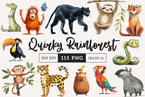 Quirky Rainforest Animals