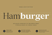 Chipno, a Serif Font by Attract Studio (Thumbnail 7 of 16)