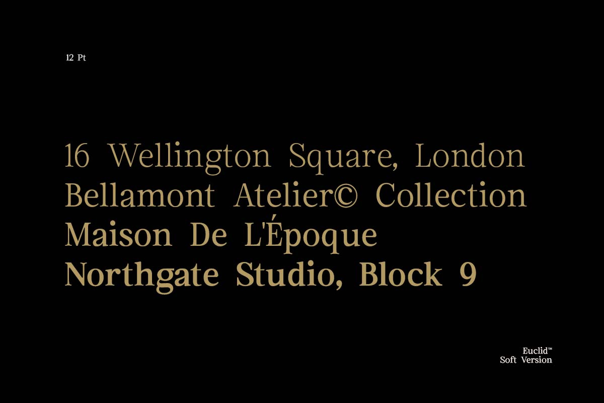 Euclid Serif | 180 Font Files, a Serif Font by Ws Studio (Photo 10 of 12)