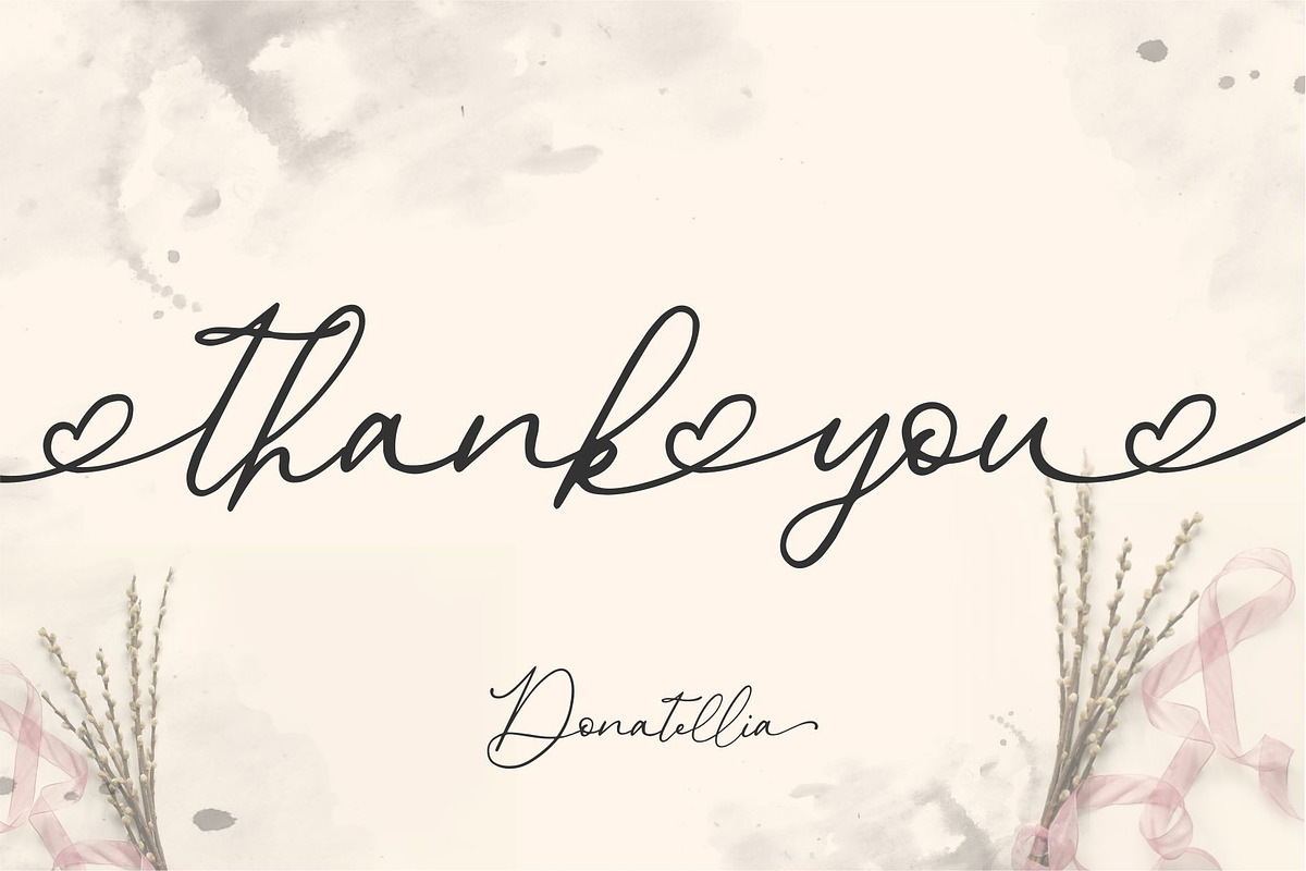 Donatellia Signature, a Script Font by Garisman Std (Photo 13 of 13)