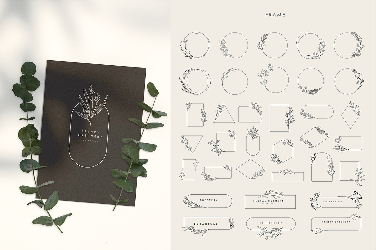 Flora. Botanical collection, an Illustration by Merfin (Photo 3 of 8)
