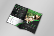 5 Clean Business Bi Fold Brochure, a Brochure Template by Imagine Design Studio (Thumbnail 4 of 17)