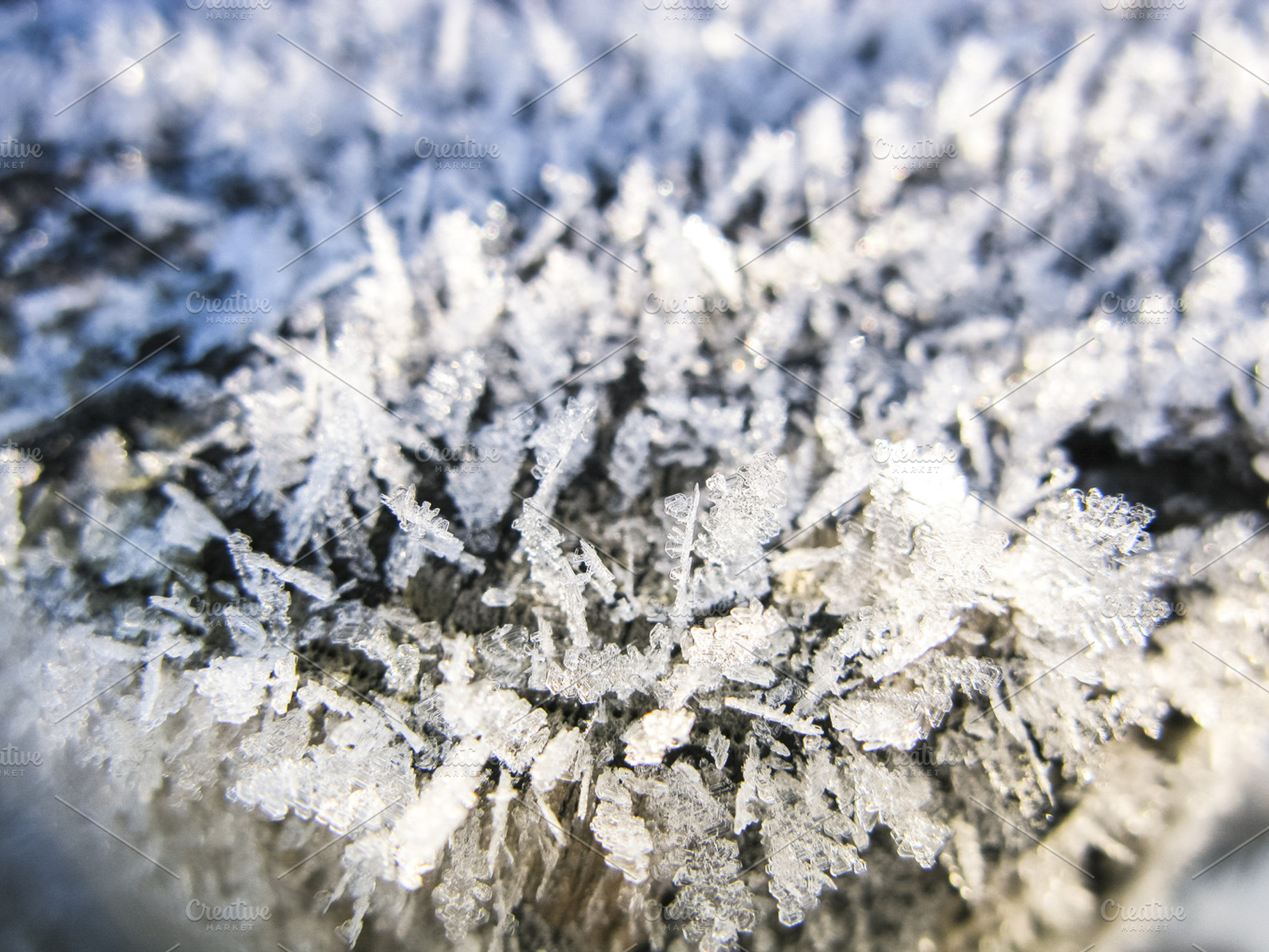 Growing Ice